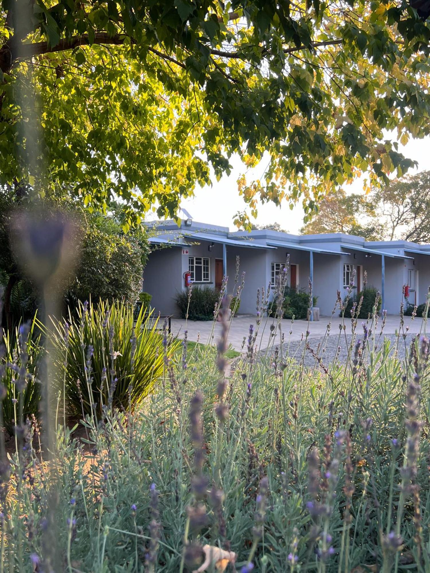 Patterson B&B ニューカッスル エクステリア 写真
